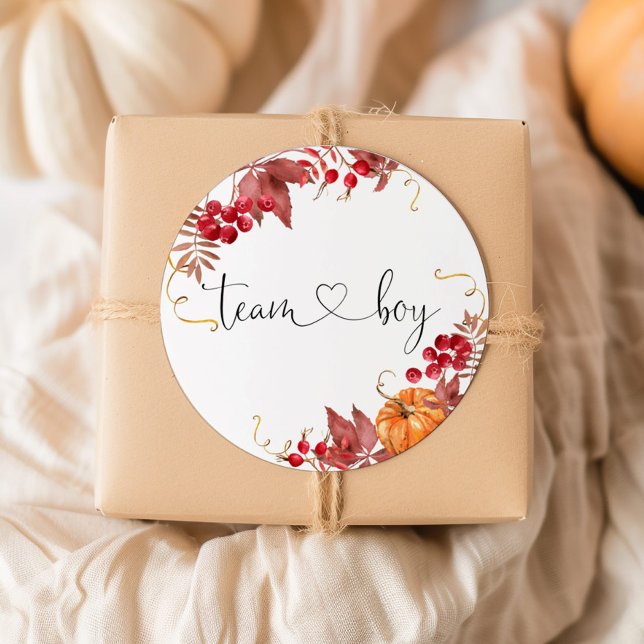 Pequenos adesivos do time de abóbora laranja (Criador carregado)