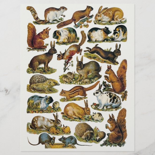 Pequenos cortes de fussy para animais vitorianos (Frente)