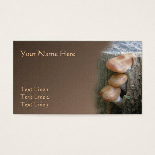 Pequim Cogumelos Castanhos Selvagens Natureza