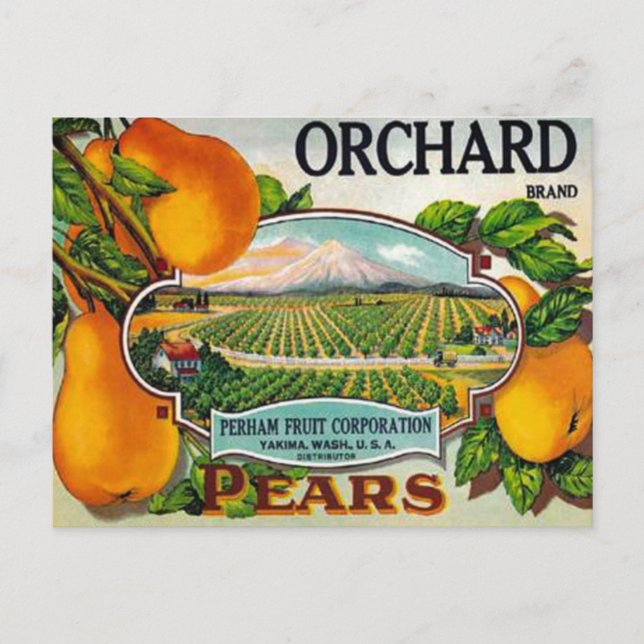 Pêras da Orchard Vintage Cartão Postal (Frente)