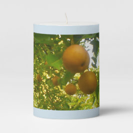 Pêras Floridas