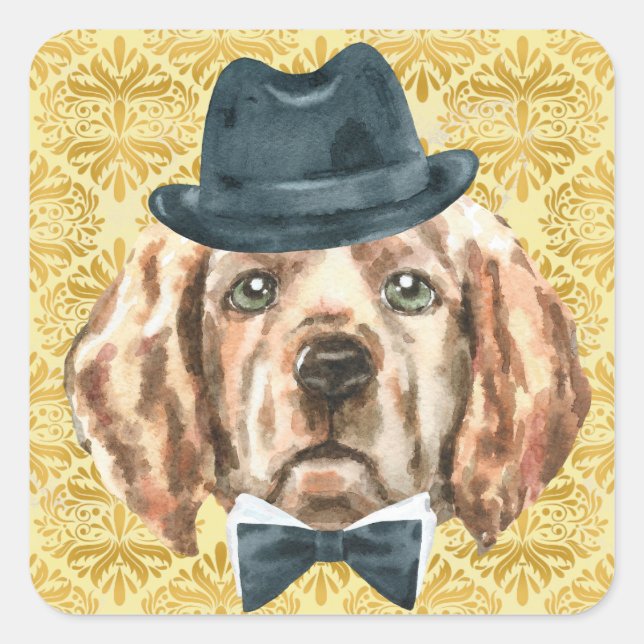 Perceba os adesivos do laboratório (Frente)