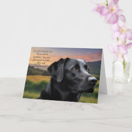 Perda de Cachorro de Estimação (Lab Negro) Cartão