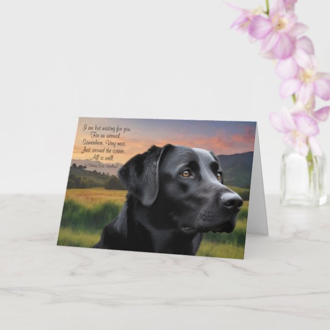 Perda de Cachorro de Estimação (Lab Negro) Cartão  (Orquídea)