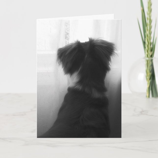 Perda de Cartão de condolências de Cachorro (Frente)