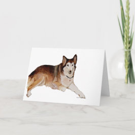 Perda de Cartão de condolências de Pet Dog
