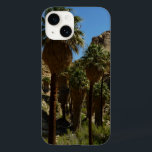 Perdida Palms Oasis I no Parque Nacional Joshua Tr<br><div class="desc">No Parque Nacional de Joshua Tree existem vários oásis do deserto, o maior dos quais é Lost Palms Oasis. É uma caminhada moderadamente longa para chegar lá, mas a recompensa é a maior coleção de palmeiras de fãs da Califórnia no parque. Esta foto também é apresentada como o wallpaper widescreen...</div>