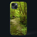 Perdido Homem Creek I no Parque Nacional de Redwoo<br><div class="desc">A paisagem no Parque Nacional de Sequoias, Califórnia lembra-vos de voltar a uma floresta antiga. Esta paisagem que mostra o 'Perst Man Creek' também mostra a maioria das árvores e samambaias para uma cena pacífica. Esta foto também é apresentada como o wallpaper widescreen "Lost Man Creek I" na seção National...</div>