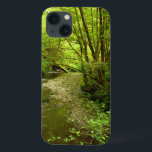 Perdido Homem Creek I no Parque Nacional de Redwoo<br><div class="desc">A paisagem no Parque Nacional de Sequoias, Califórnia lembra-vos de voltar a uma floresta antiga. Esta paisagem que mostra o 'Perst Man Creek' também mostra a maioria das árvores e samambaias para uma cena pacífica. Esta foto também é apresentada como o wallpaper widescreen "Lost Man Creek I" na seção National...</div>