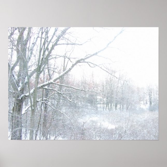 Perdido no Excelente UpNorth Photoographic Poster (Frente)