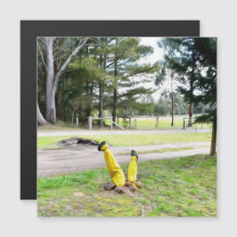 Perdido no Jardim novamente Cartão magnético