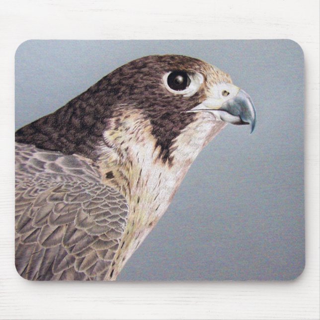Peregrine Falcon Mousepad (Frente)