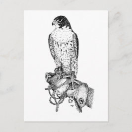 Peregrine Falcon no cartão postal do bloco