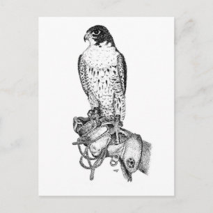 Peregrine Falcon no cartão postal do bloco