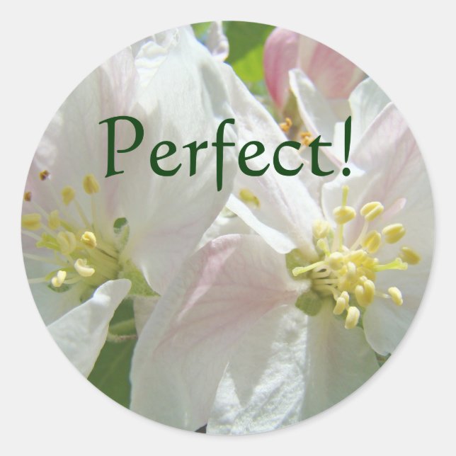 Perfeito! adesivos personalizados Flores de Maçã (Frente)
