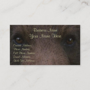 Perfil & cartões de visitas do URSO de URSO