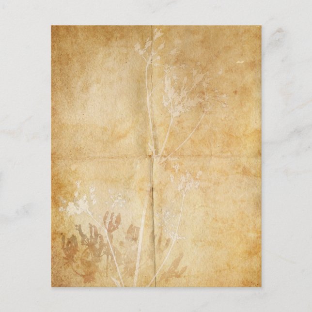 Pergaminho de Lace Watercolor da Rainha Anne (Frente)