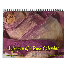 Período de vida de um calendário de Rosa