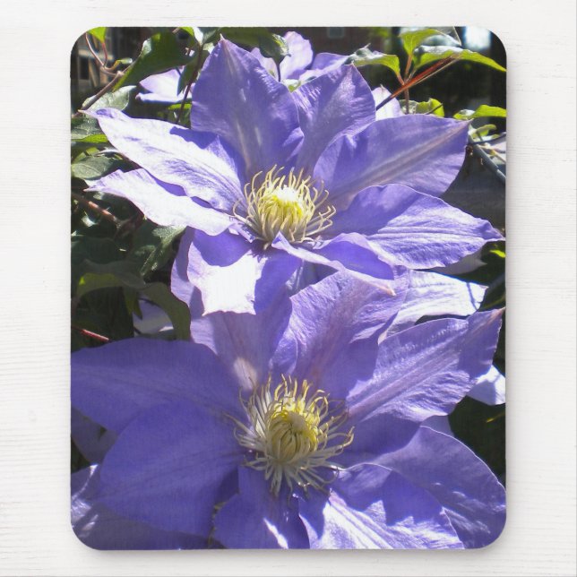 Periwinkle Clematis Mousepad (Frente)