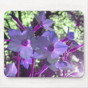 Periwinkle Nicotiana mousepad