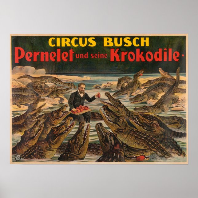 Pernelet e seus crocodilos Busch Circus Poster (Frente)