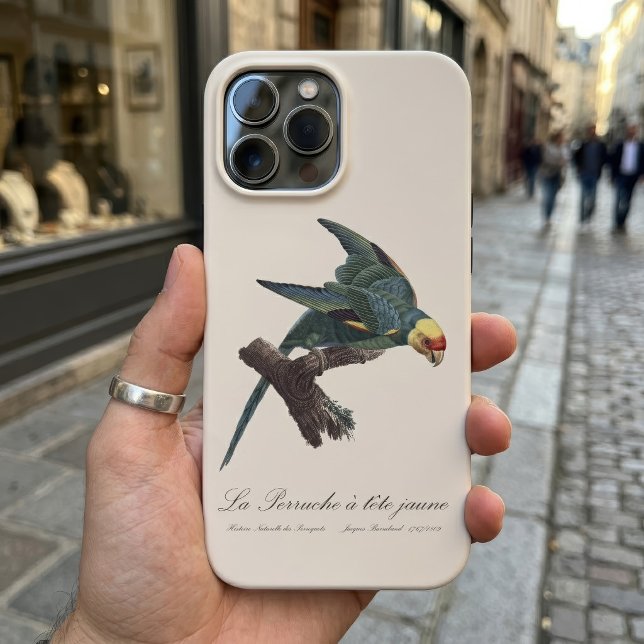 Perruche a Tete Jaune / periquito Carolina (Carolina parakeet, Conuropsis carolinensis. iPhone Case )