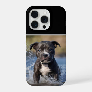 "Perseguidor de Ondas: Um cachorrinho Staffy em br