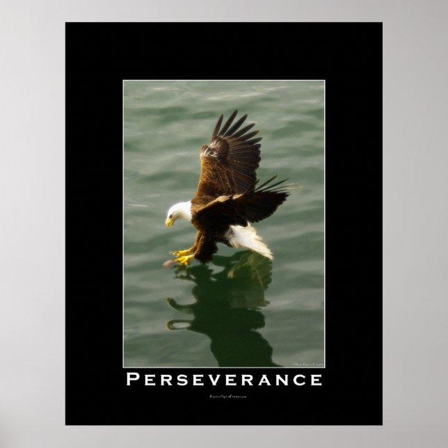PERSEVERANCE Bald Eagle Motivational Art Poster (Frente)