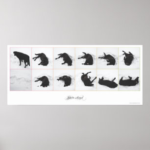 Persiga o poster {branco} 36x16 do anjo da neve "