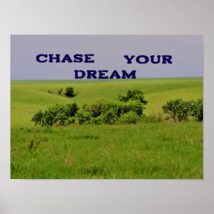 Persiga seu Poster motivador do sonho