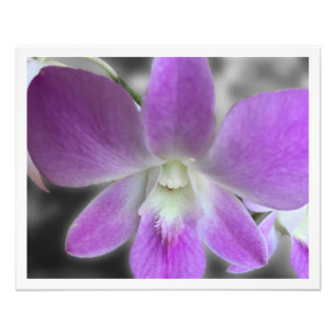 Personalizado Impresso 16 x 20 Foto Alargamento