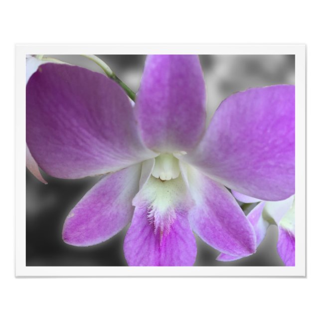 Personalizado Impresso 16 x 20 Foto Alargamento (Frente)