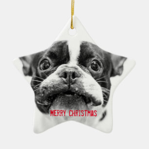 Personalizado para Enfeites de natal Buldogue Fran