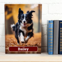 Personalizado Personalizado Dog Gift Pet Lover Dar