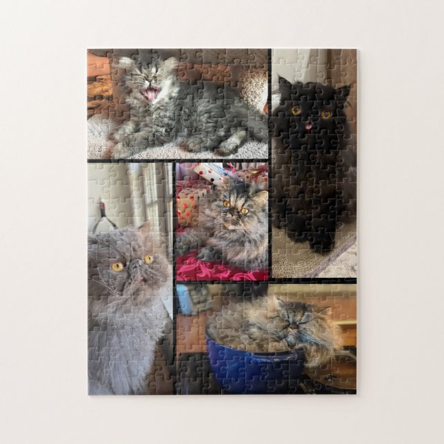 Personalizado Seu Quebra-Cabeça de 5 Fotos de Gato (Vertical)