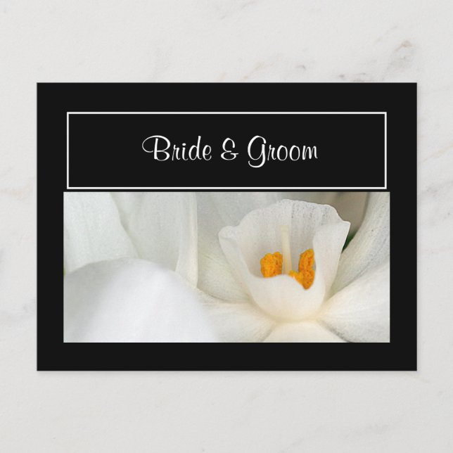 Personalizar Guardar Cartões Postais Data (Frente)