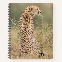 Personalizar o Notebook Cheetah Spiral