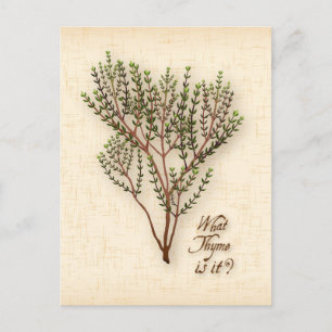 Personalizar O Que É? Cartão Postal