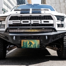 Personalizar o Símbolo de Estado do Bigfoot Squatc