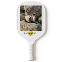 Personalizar que vou a este Pickleball Paddle