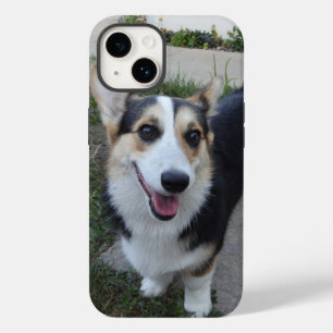 Personalize isto com a sua Foto Pet