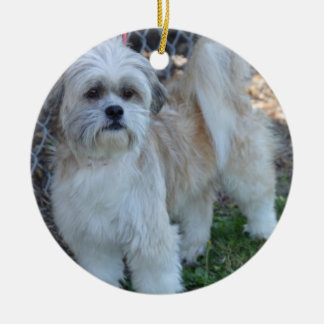 personalize ornamento da árvore de Natal da foto