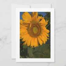 Personalize seu convite personalizado de cartão