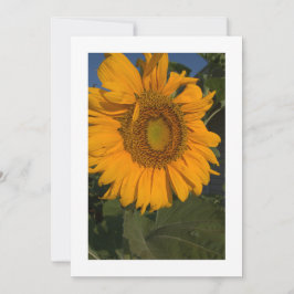 Personalize seu convite personalizado de cartão