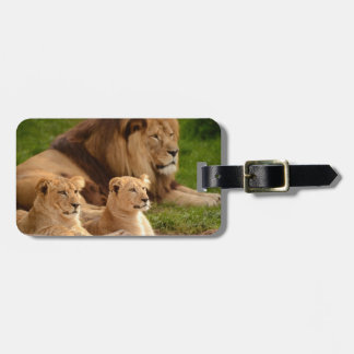 Personalized Luggage Tags – Durable & Stylish Trav