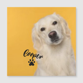 Personalized Pet Photo Dog Lover with Photo