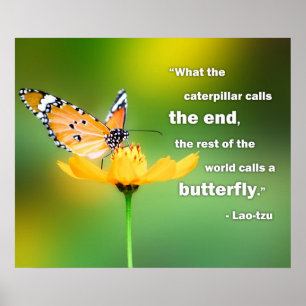 Perspectiva Poster Lao Tzu