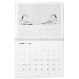 Perspectivas da Natureza - Calendário de Parede 20