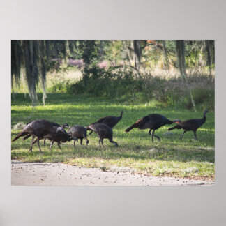 Perus Selvagens em Poster de Fotografia Grass