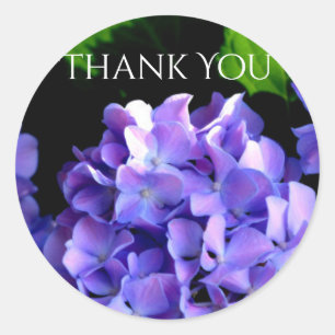 Perwinkle Hydrangeas - obrigado dos autocolantes